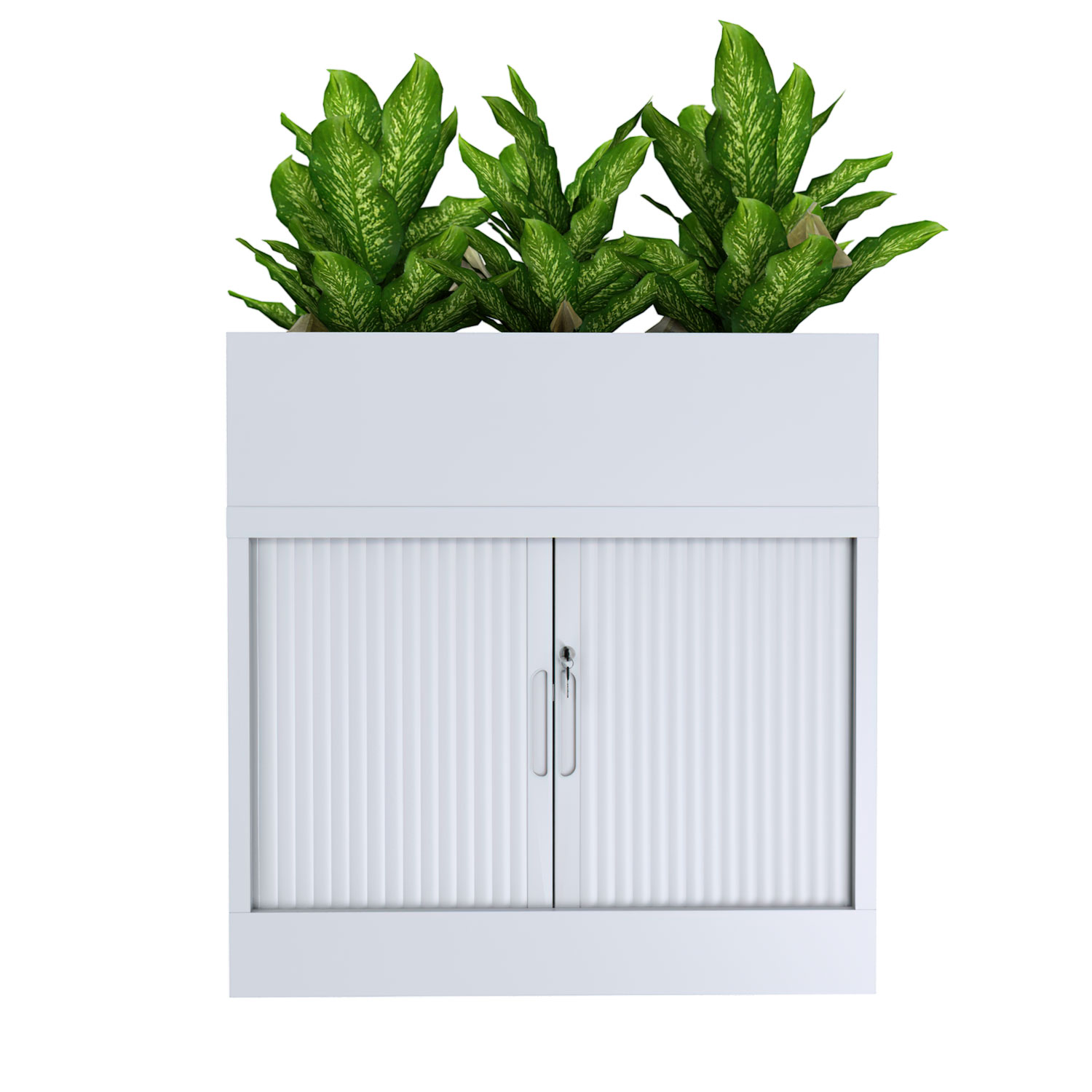 Tambour + Plant 900W 680H W