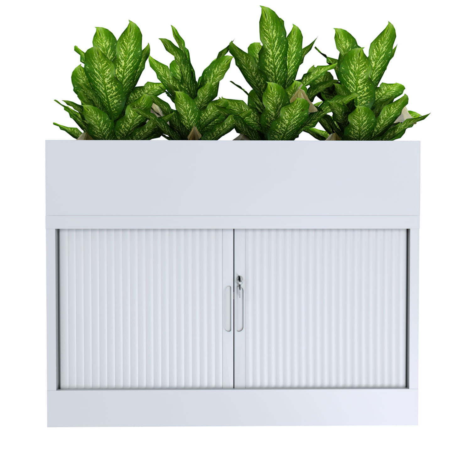 Tambour + Plant 1200W 680H W